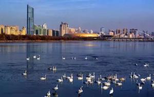 三門峽又一網(wǎng)紅景點，確定不來pick一下？